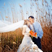 Suspendisse arcu nisl